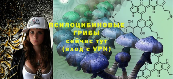 Альфа ПВП Баксан